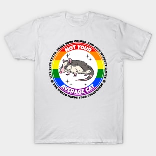 LGBTQIA+ Opossum Pride T-Shirt